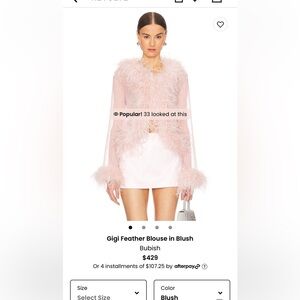 Gigi Feather Blouse in Blush Bubish Luxe. Worn once dry cleaned size xs